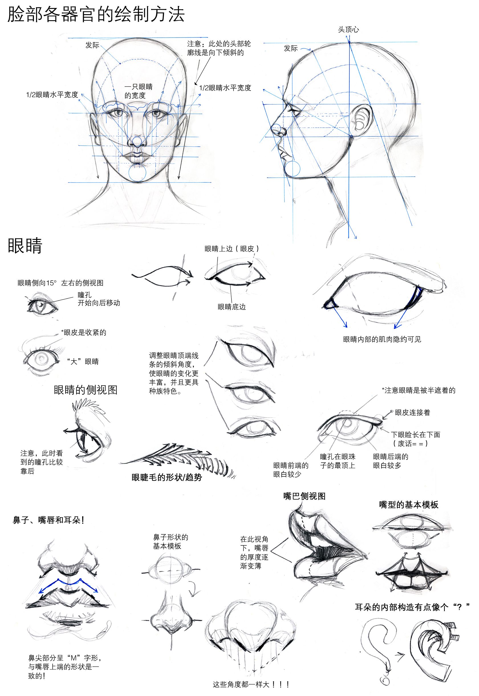 通过辅助线与比例解说,相信能够帮助童鞋们更加精准的把握五官的位置.