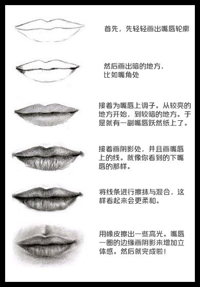 绘画教程 嘴唇素描教程  标签:              