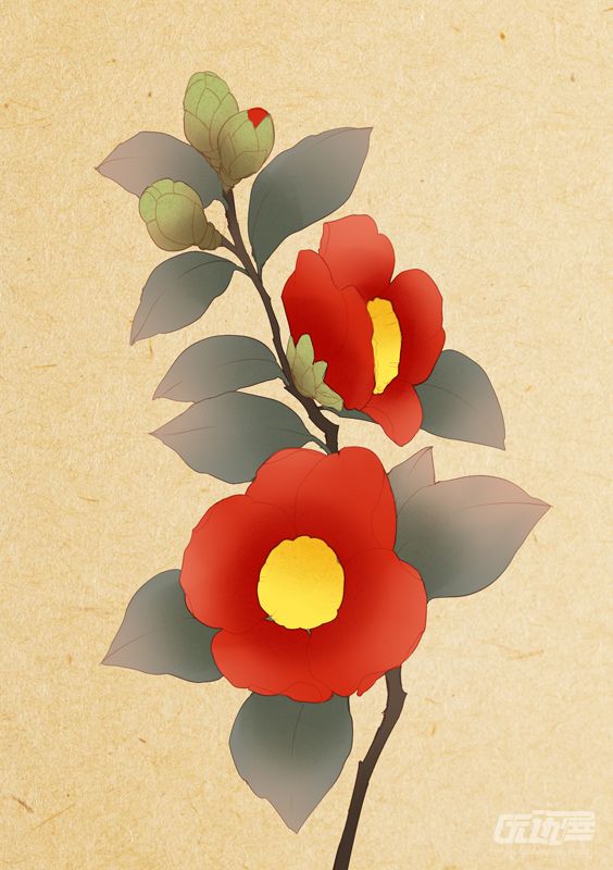 茶花的画法