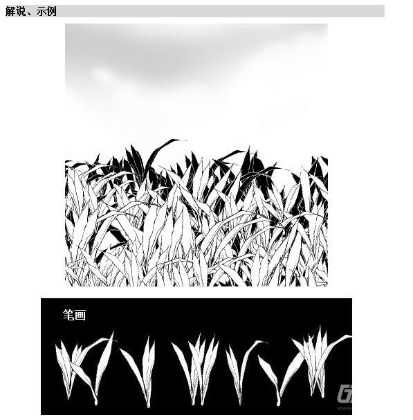 此款笔刷素材描画的是矮矮的杂草,多用于绘制漫画的背景.