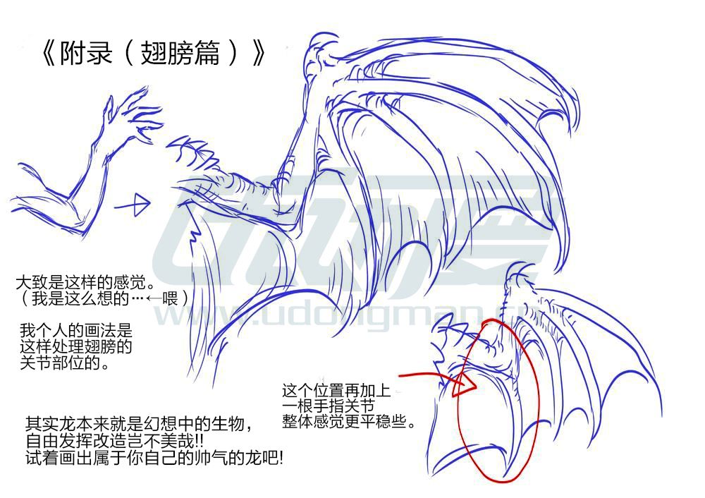 教你画霸气的龙 - 优动漫 动漫创作支援平台