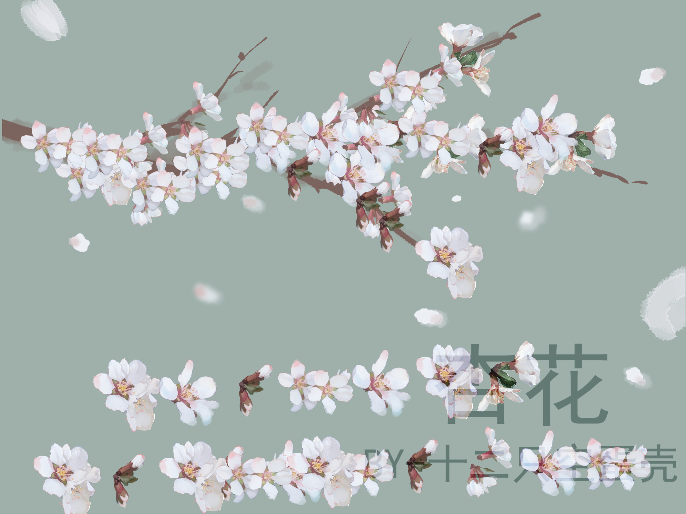 春天的杏花手绘素描插画图片素材_ID:383387540-Veer图库