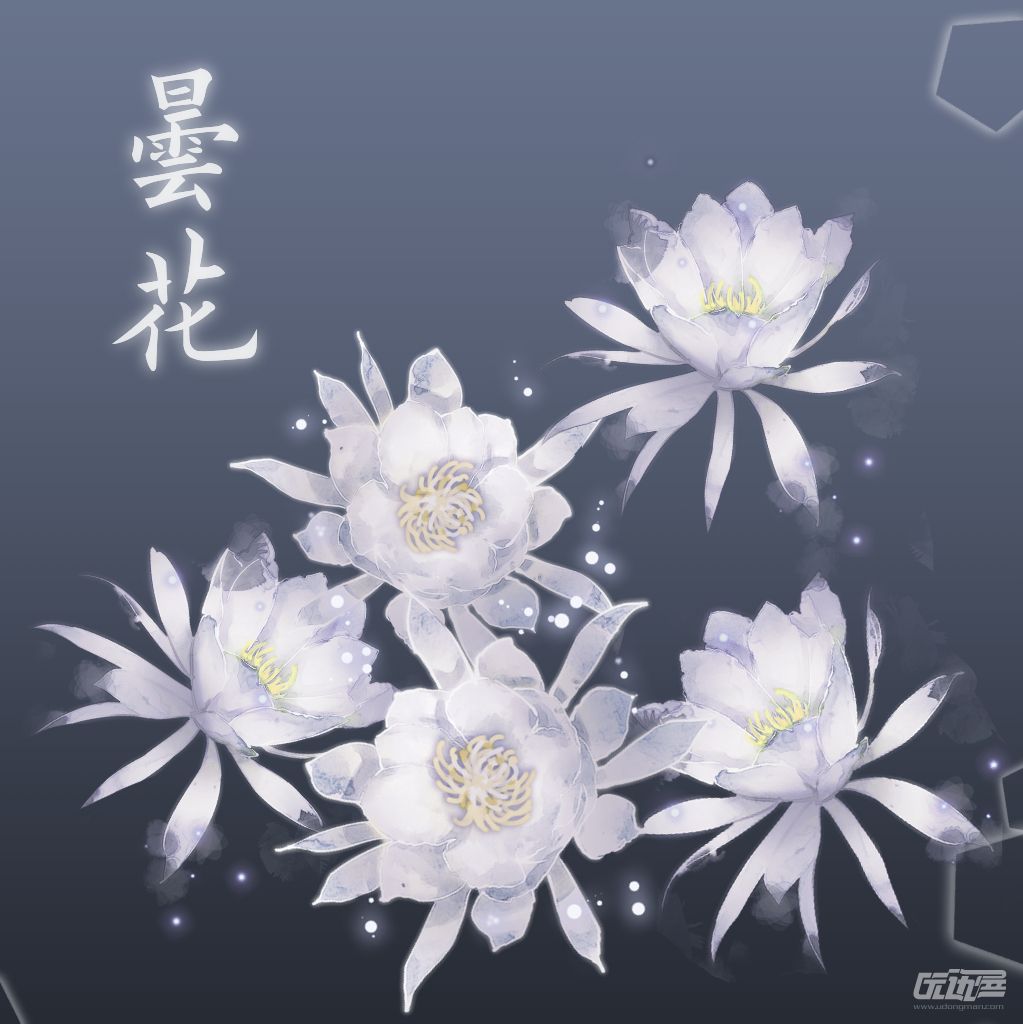 举报 昙花笔刷_(:з」∠)_我是真的不喜欢画花,所以画笔刷囤着.