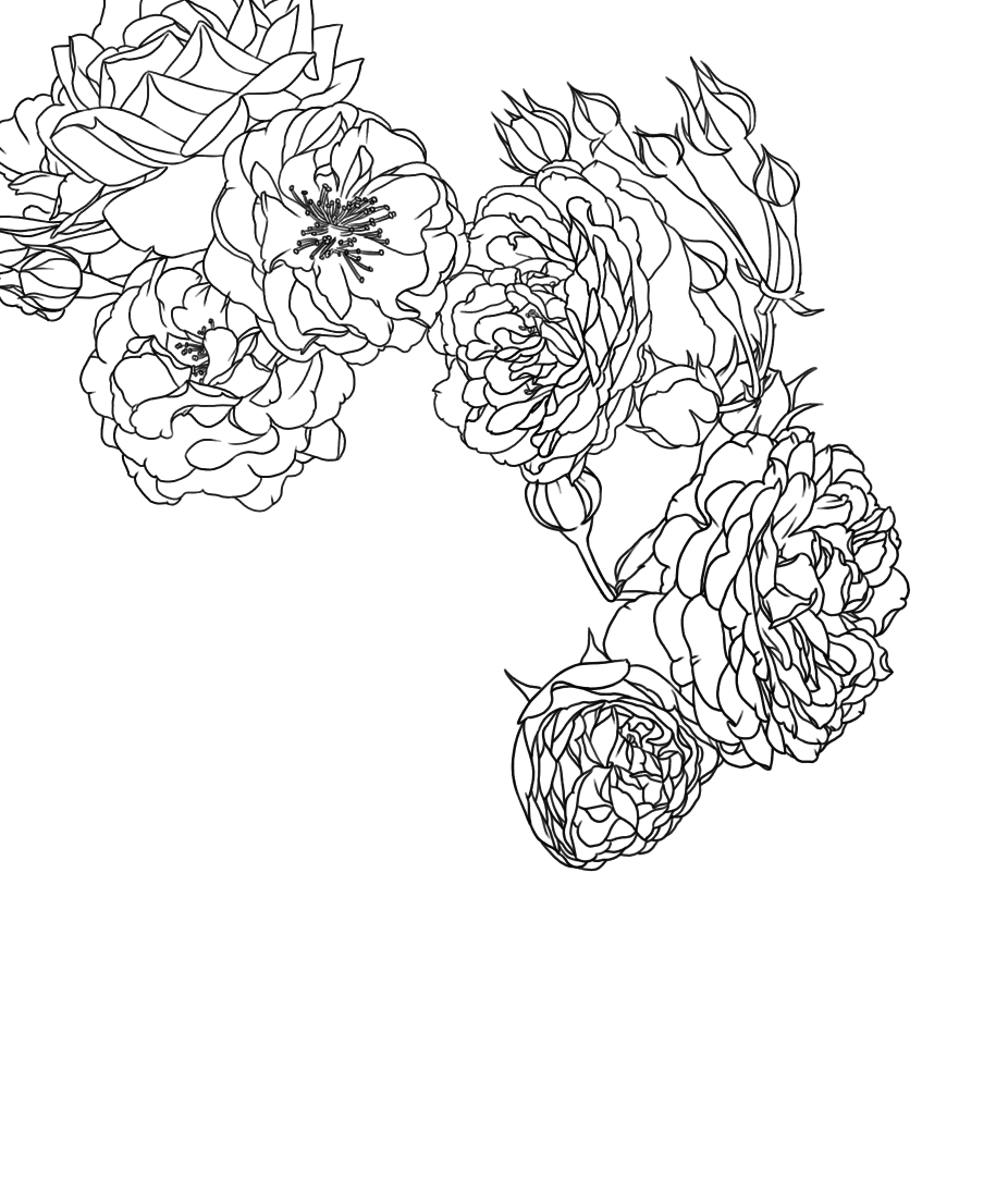 自制蔷薇笔刷