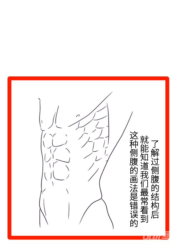 男性腹肌画法教程