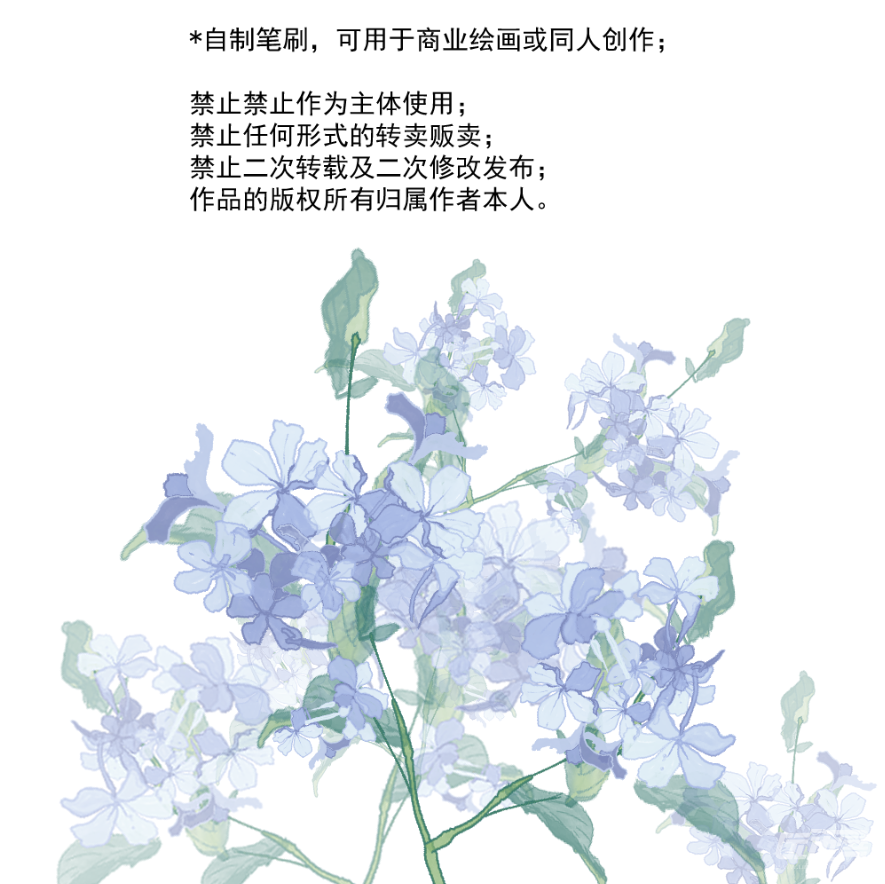 蓝雪花彩色