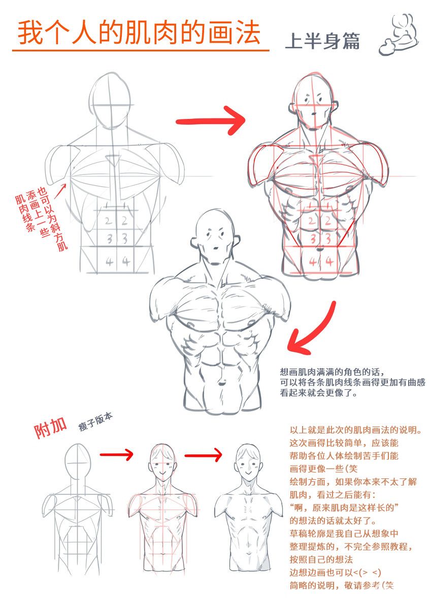 人体肌肉的画法参考by皆仲笑歩