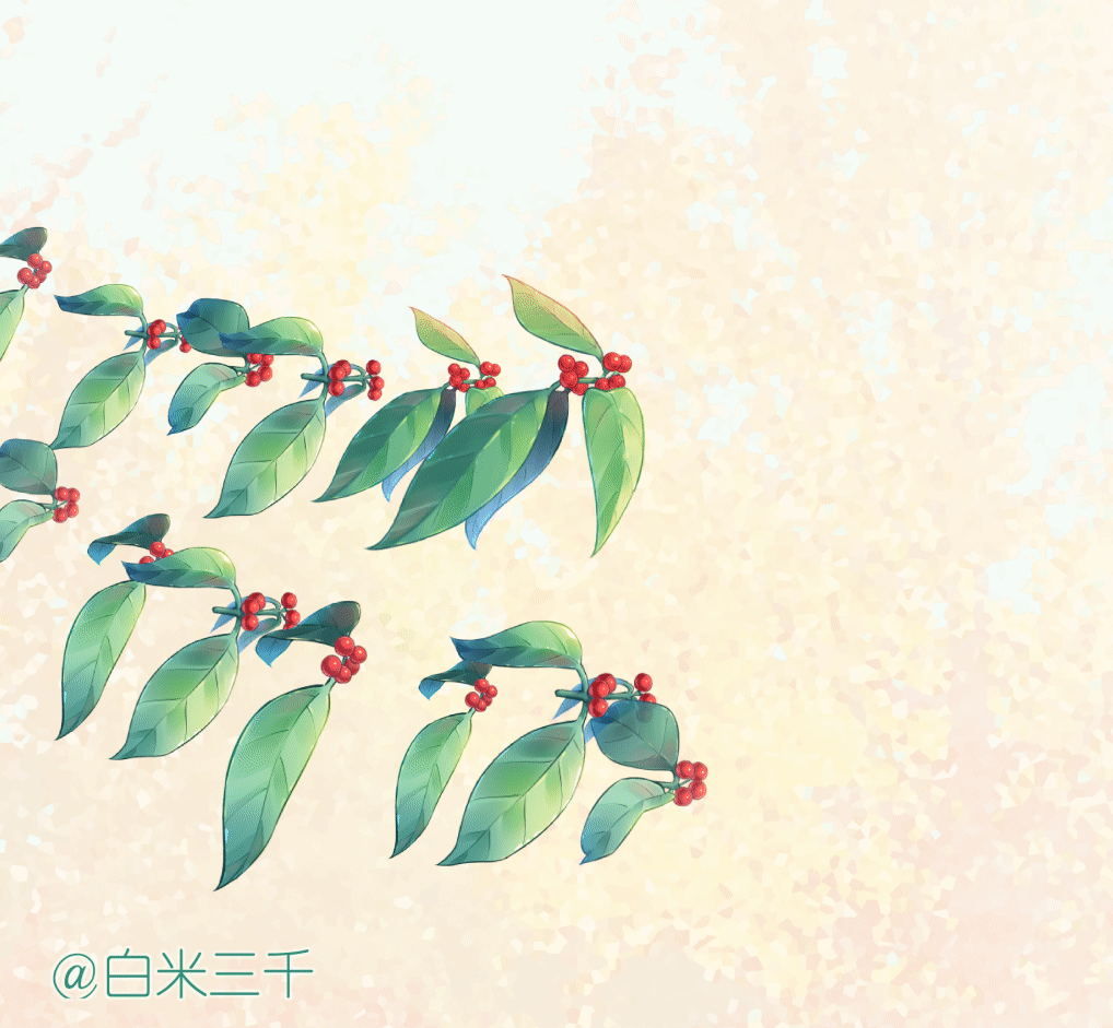 金银忍冬树叶侧面
