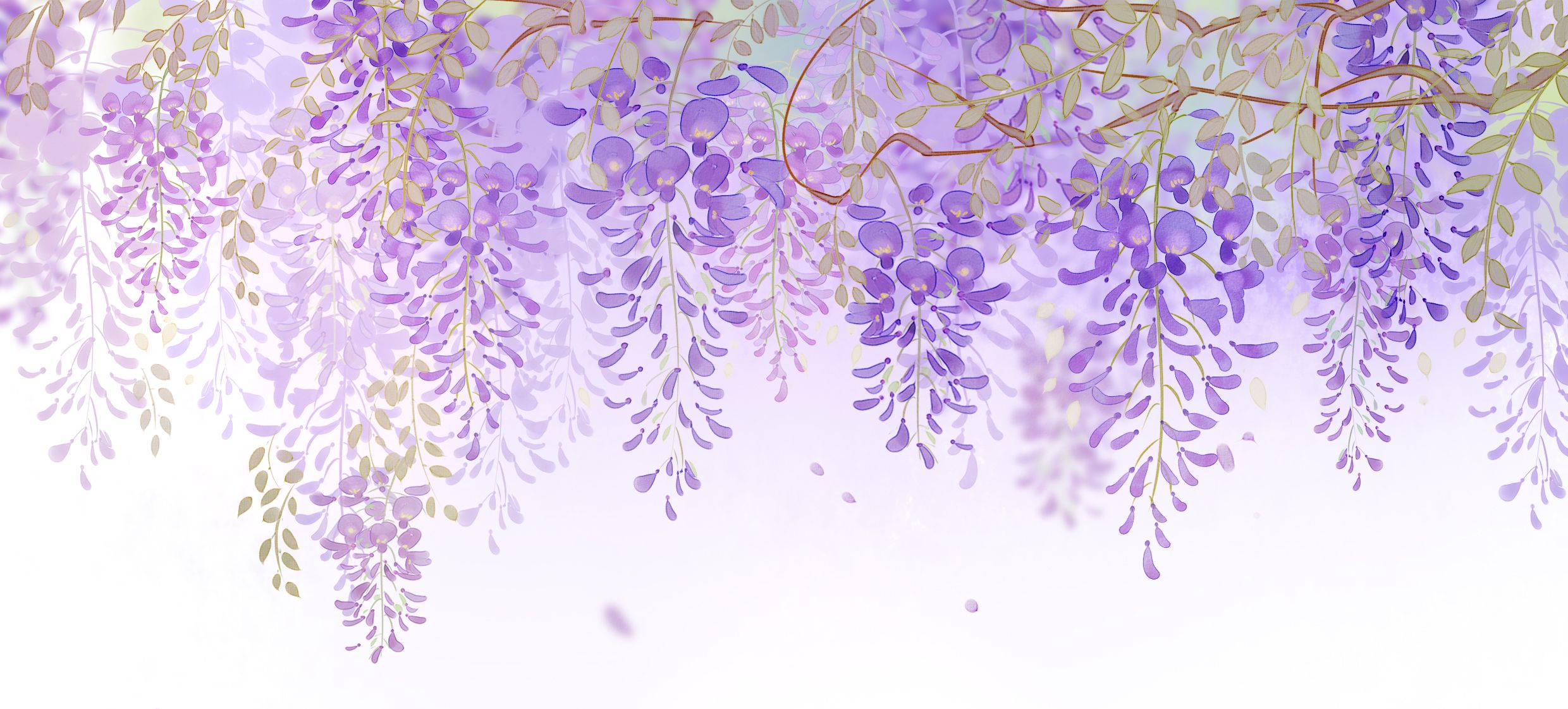 紫藤花唯美意境壁纸,高清图片,电脑桌面-壁纸族