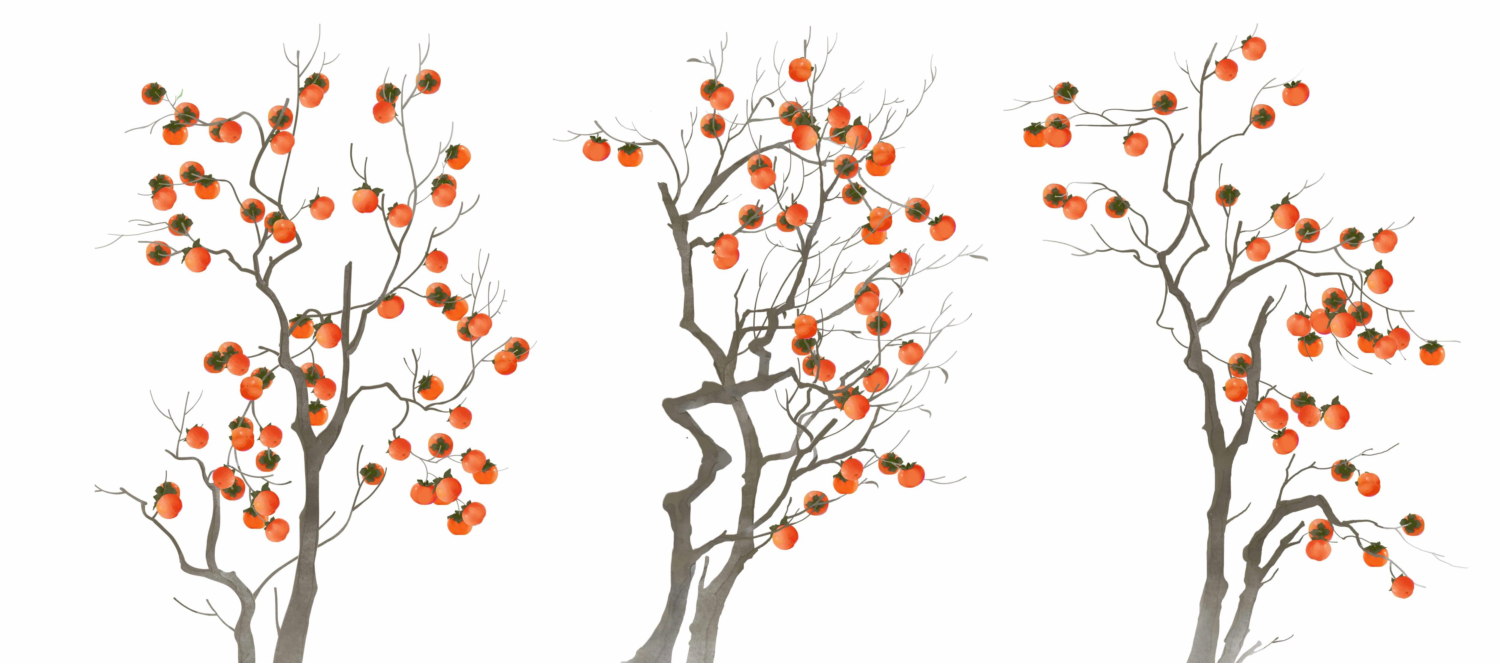 苹果树简笔画画法图片步骤（义乌学画画） - 有点网 - 好手艺