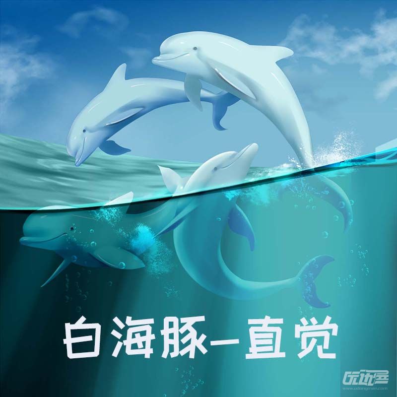 白海豚-直觉