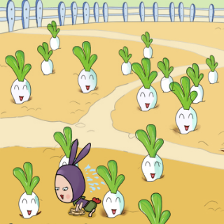 小兔的菜园子工程         