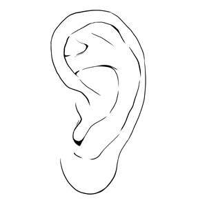 第5课 耳朵,鼻子