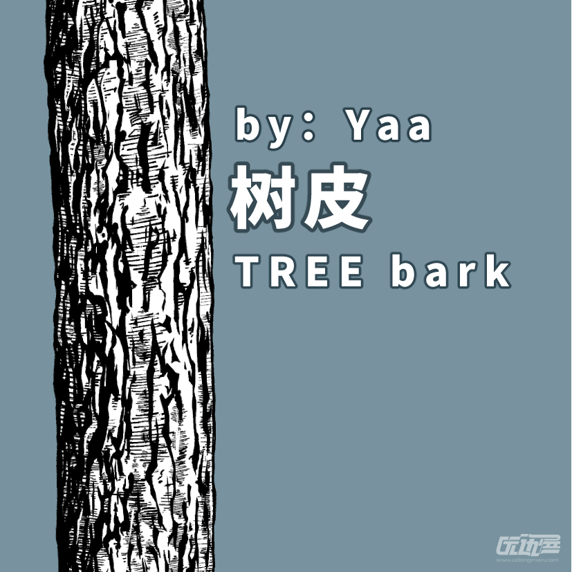 树皮(tree bark) by:yaa 