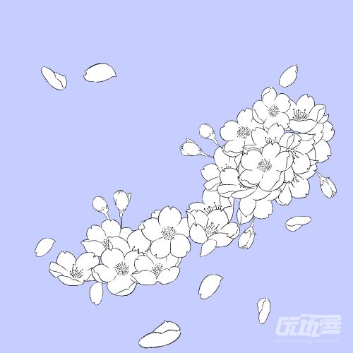 樱花花瓣画法图片