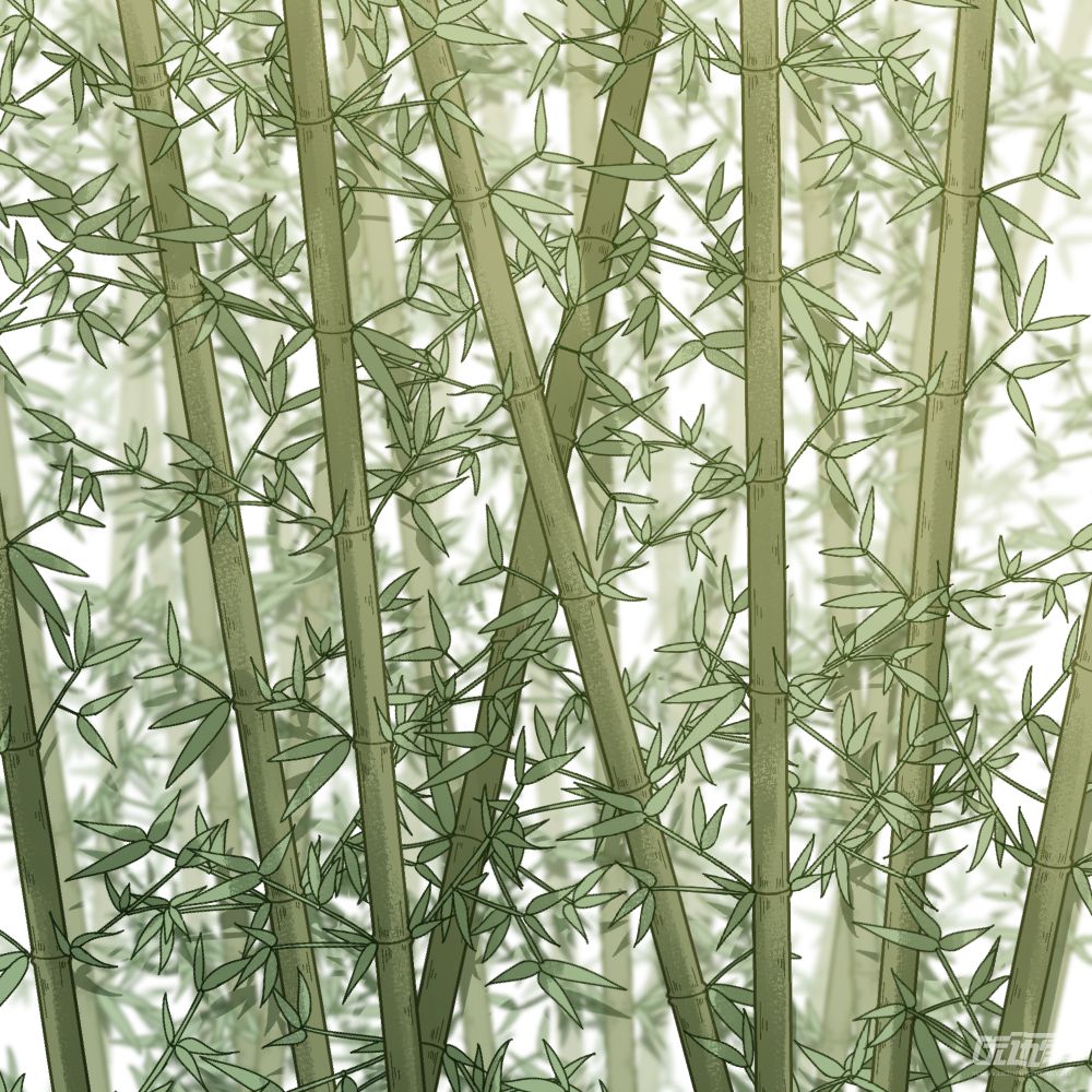 彩色竹子①完整版by拾伍司