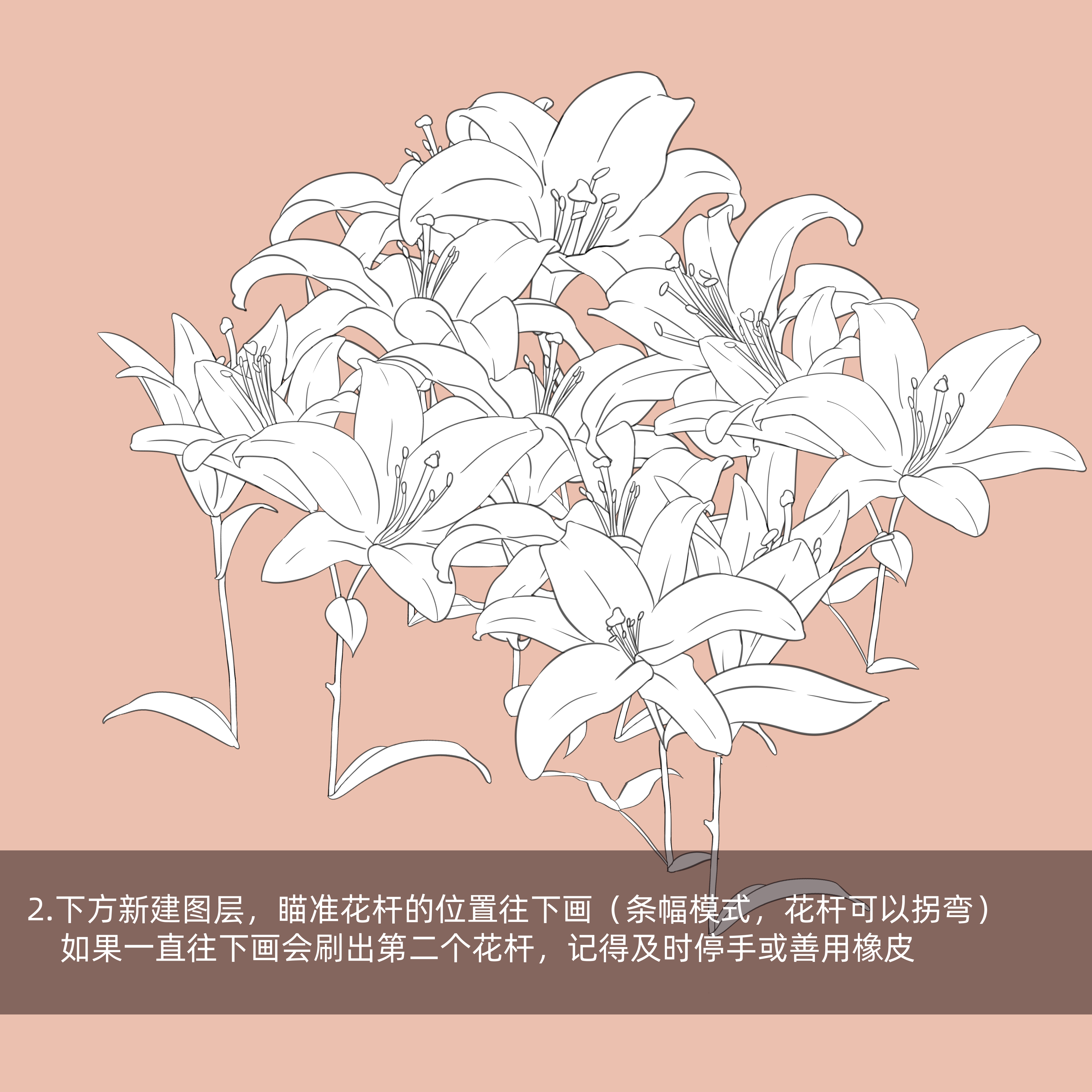 百合花线稿8p - 优动漫 动漫创作支援平台