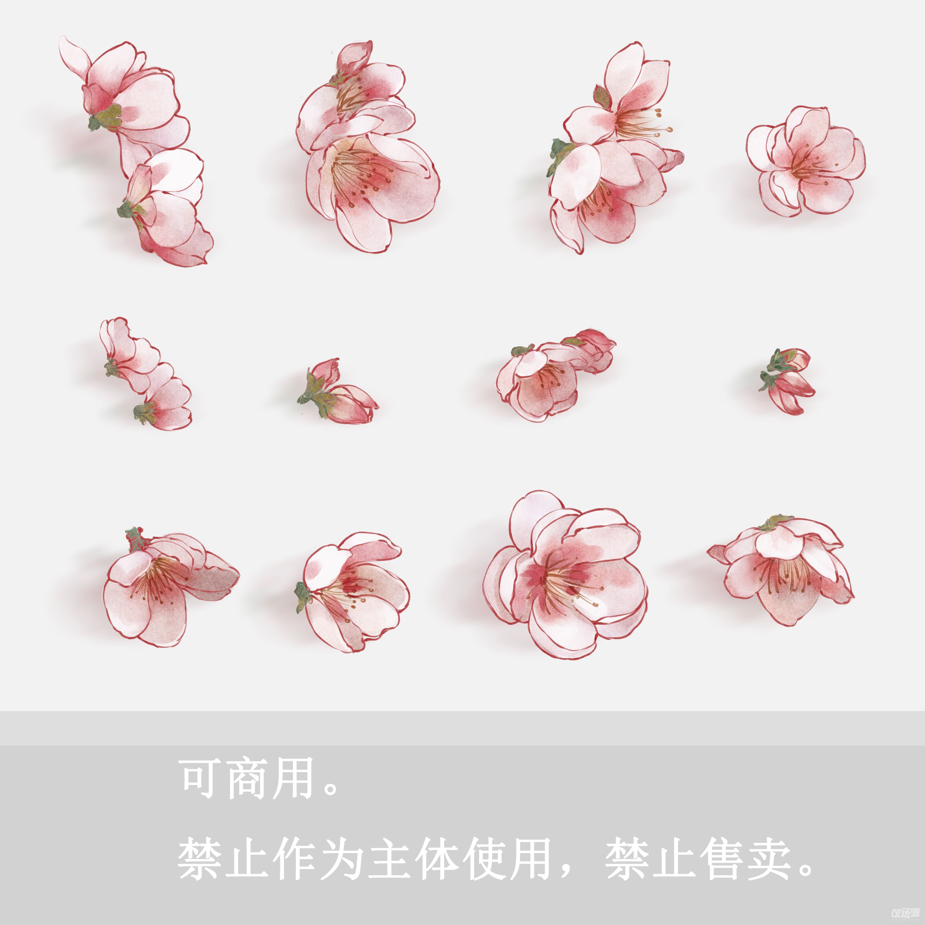 美丽飘落樱花花瓣素材免费下载 - 觅知网