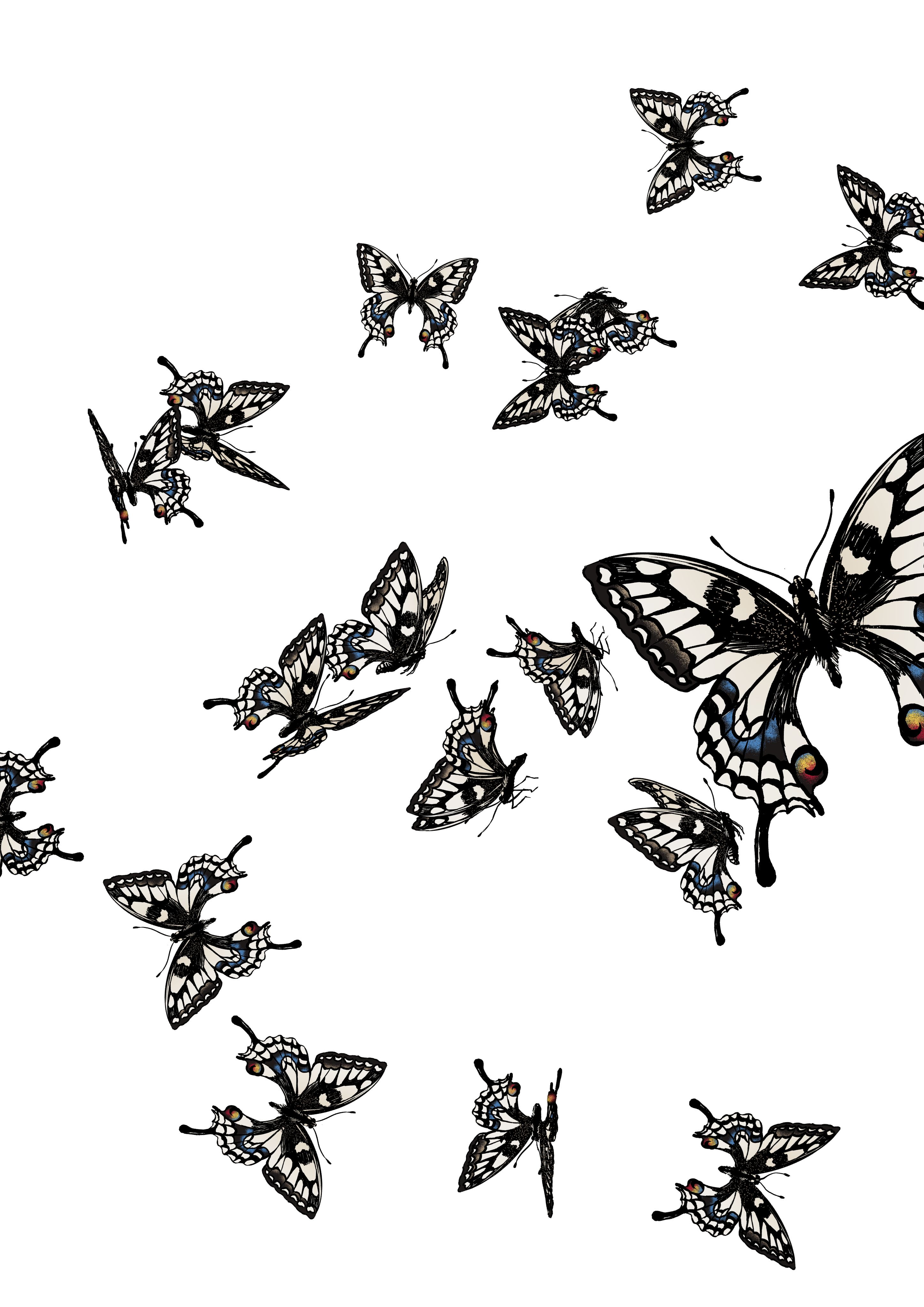 美丽蝴蝶矢量元素图片素材免费下载 - 觅知网