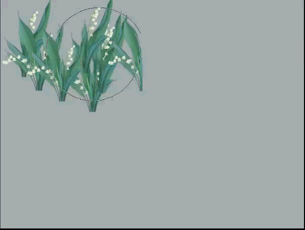 笔刷-铃兰 - 优动漫 动漫创作支援平台