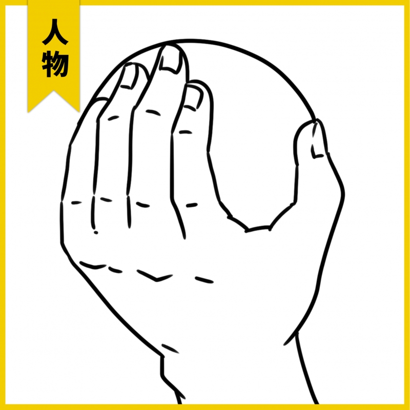 手的画法参考拿握