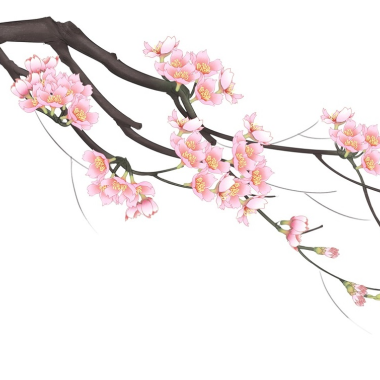 桃花枝 - 优动漫-动漫创作支援平台 | 优动漫PAINT绘画软件