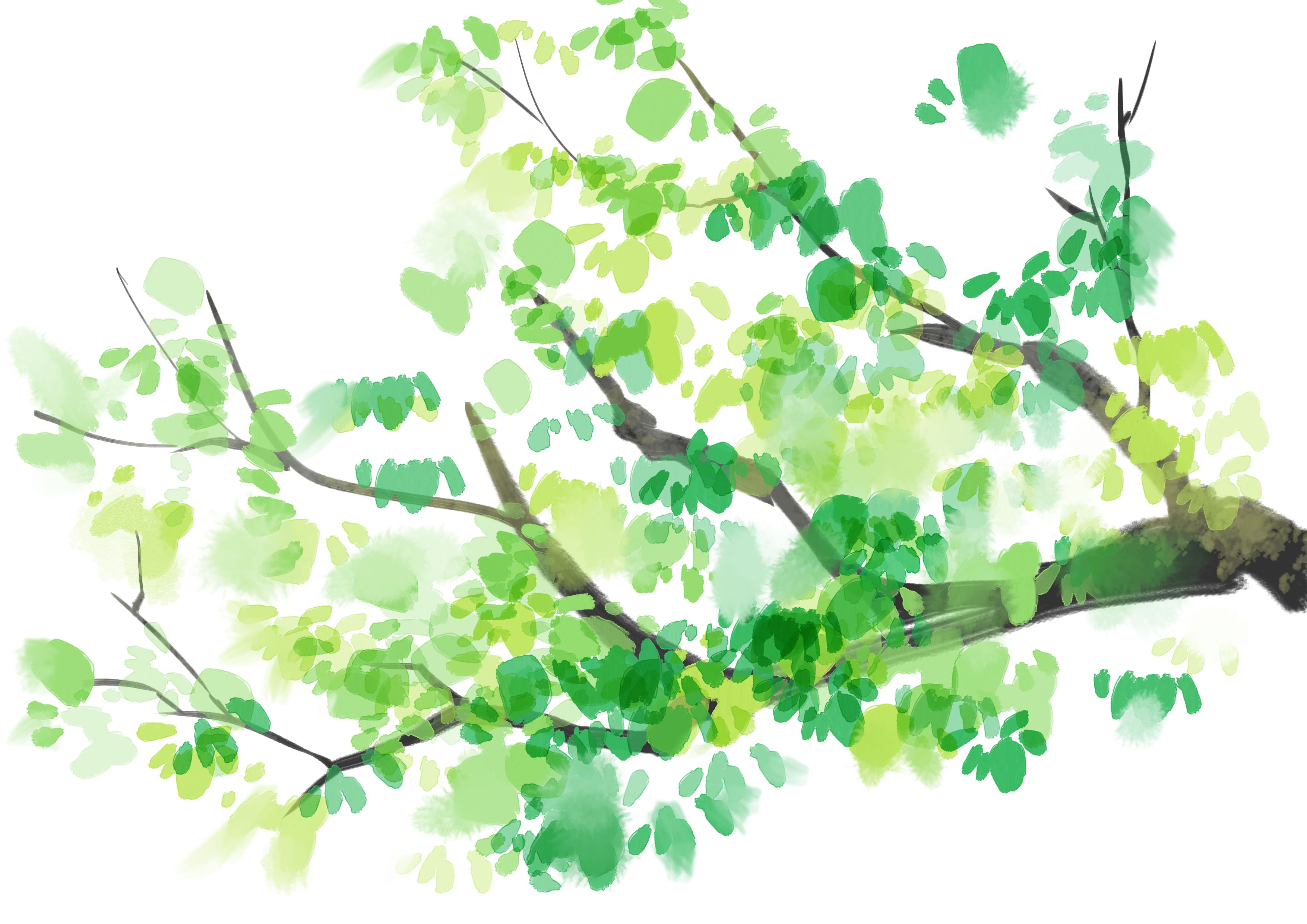 简笔画树叶 可爱树叶的画法（清廉主题儿童画） - 有点网 - 好手艺