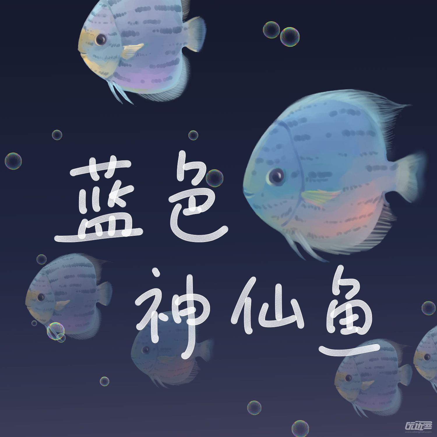 蓝色神仙鱼 - 优动漫 动漫创作支援平台