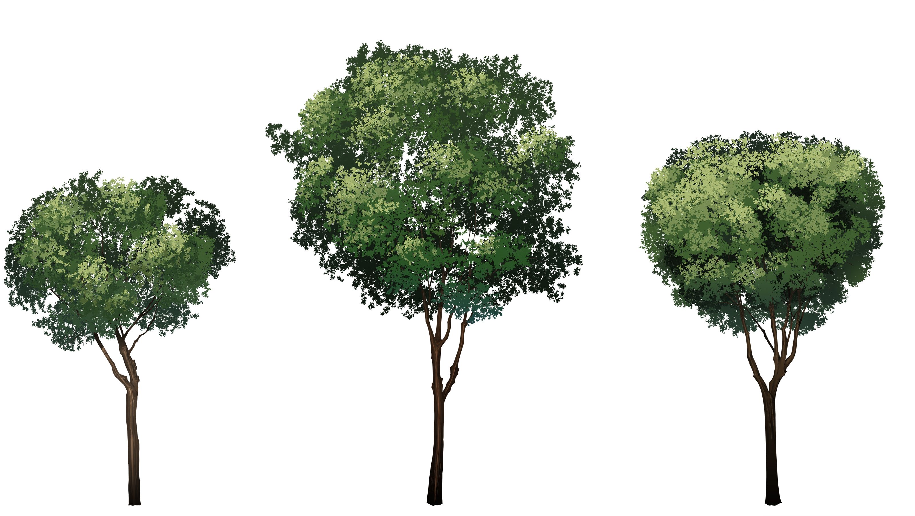 树叶等合集by muyou六六