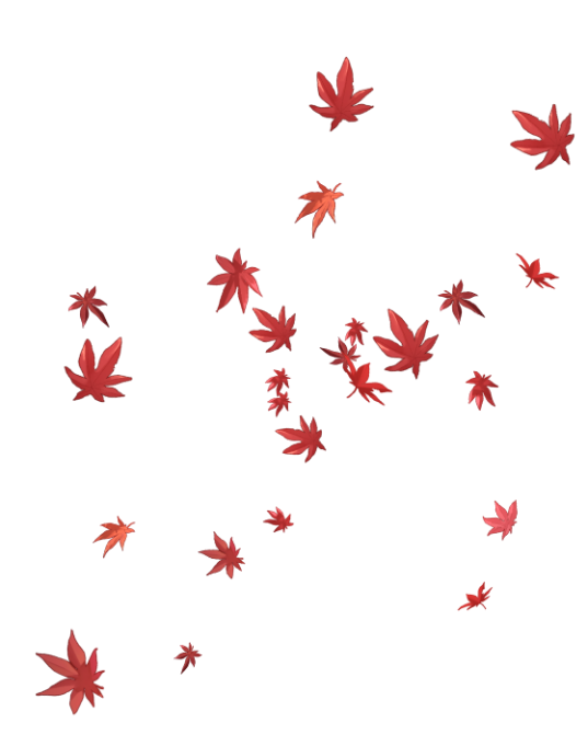 枫叶飘 分类 :笔刷素材 0.0 73 8