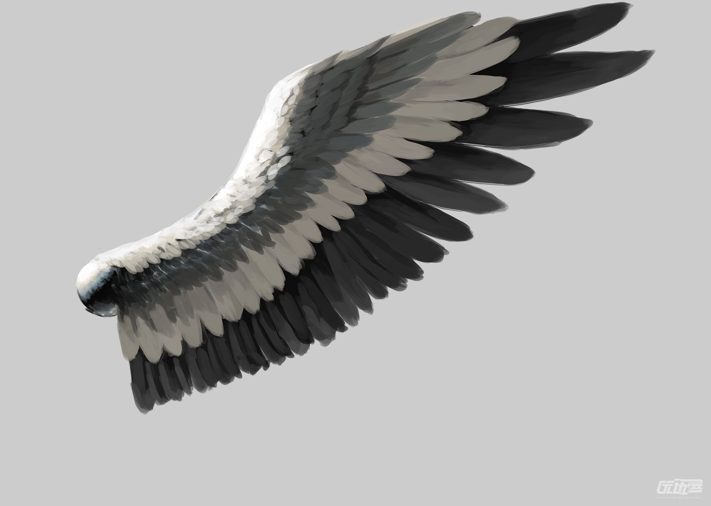 手绘素描风格双翼翅膀矢量图片素材-编号24930690-图行天下