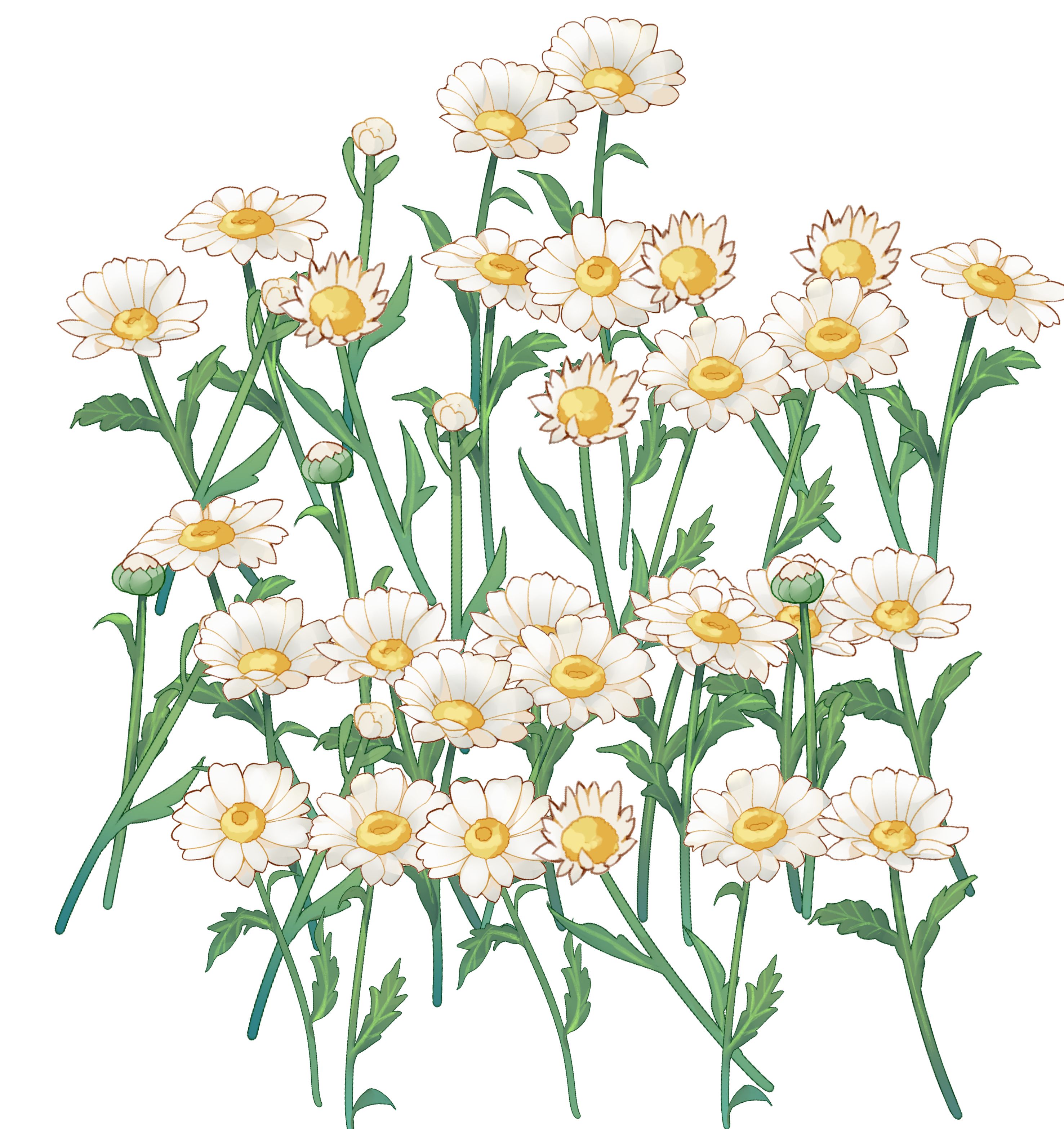 雏菊花卉植物背景笔刷 - 优动漫-动漫创作支援平台 | 优动漫paint绘画