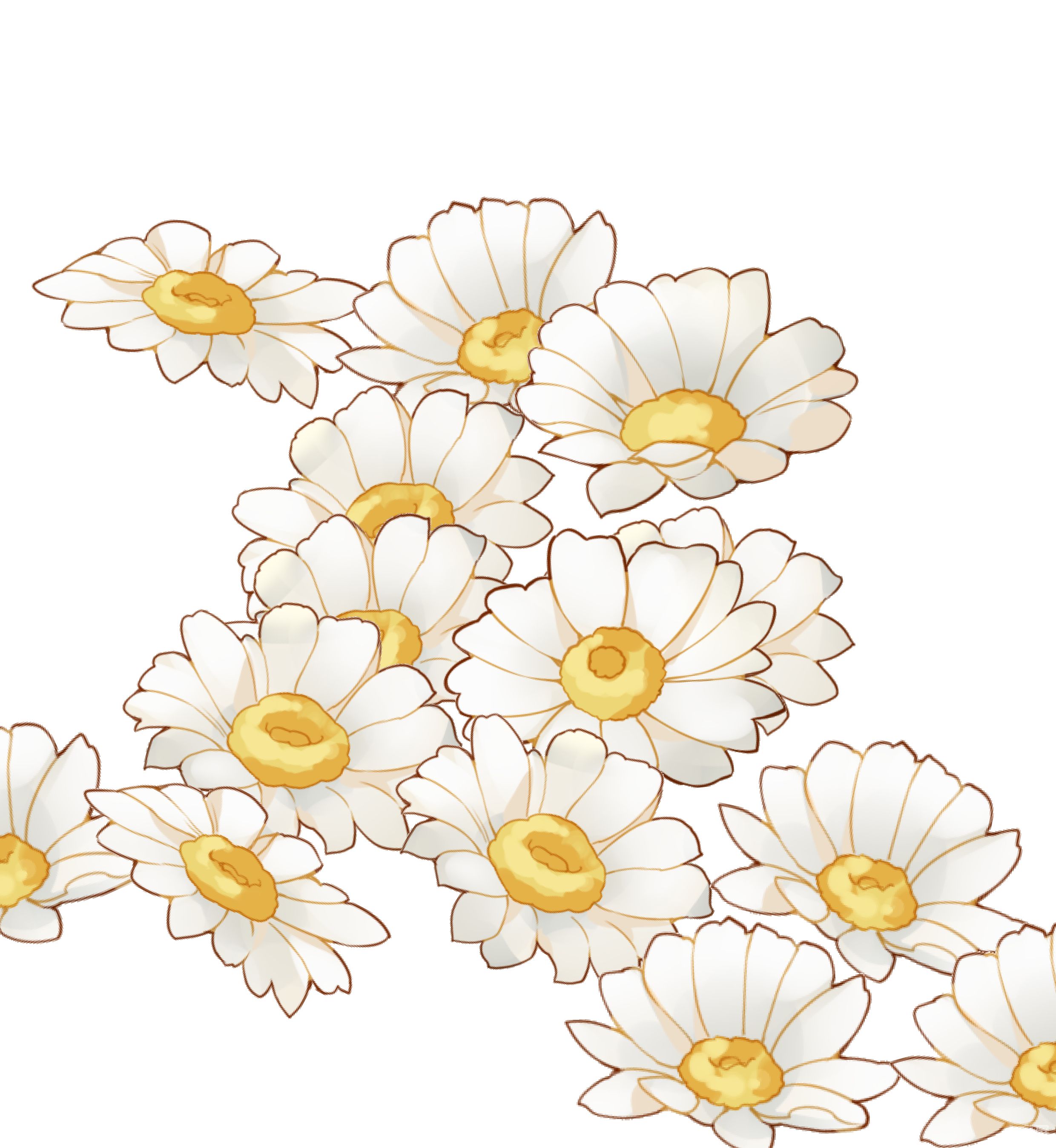 彩铅植物花卉-精微素描花卉|插画|商业插画|梁惠然 - 原创作品 - 站酷 (ZCOOL)