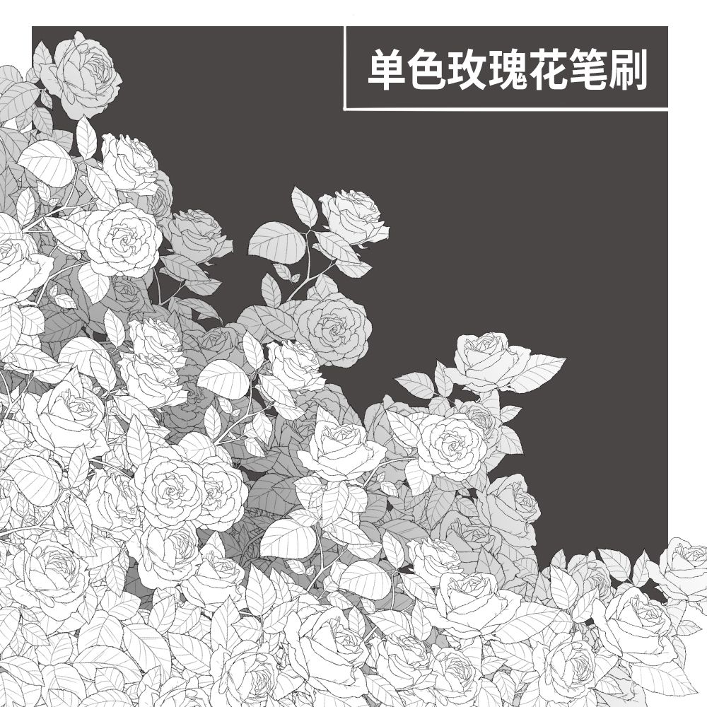 单色玫瑰花笔刷