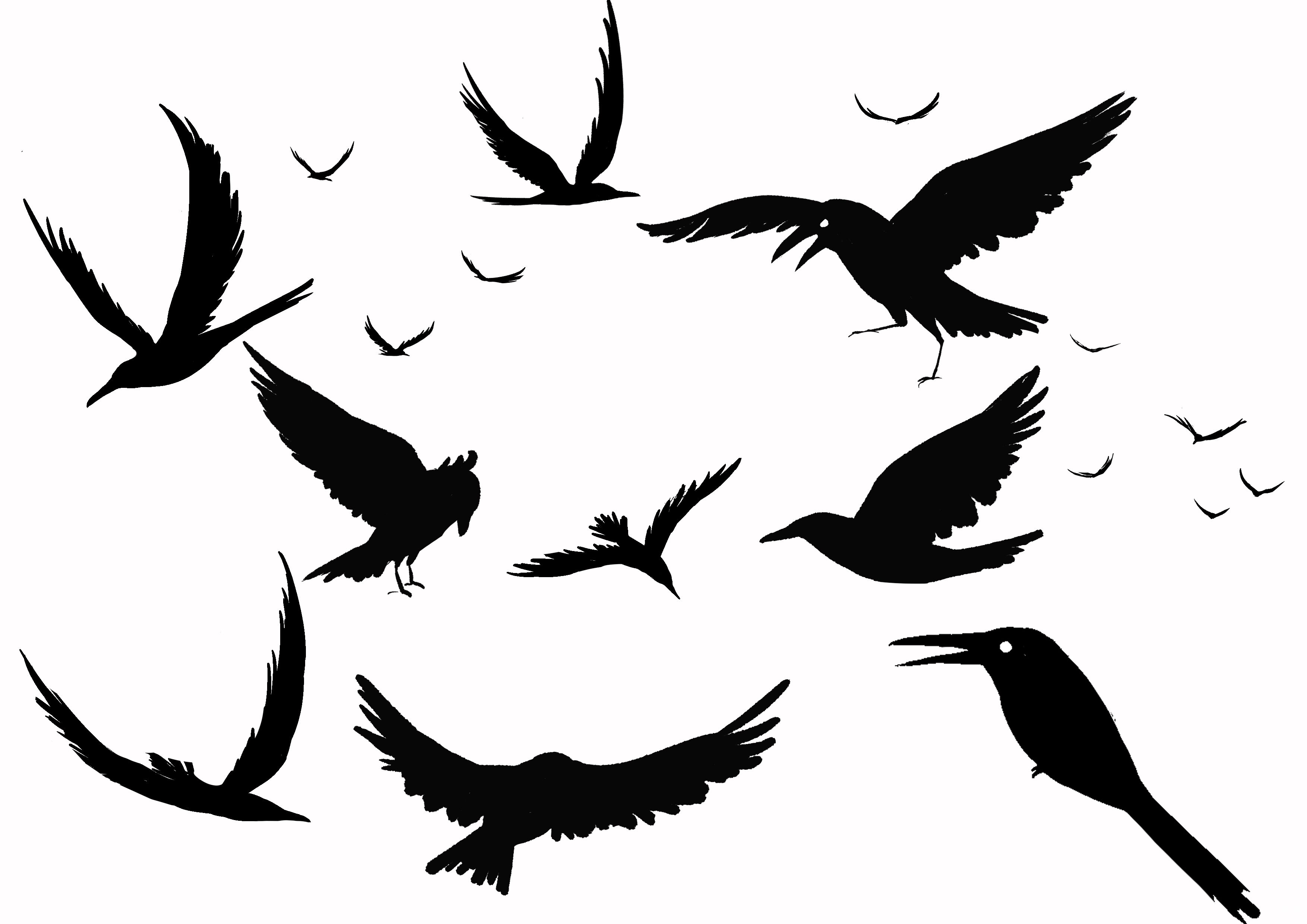 震撼的恐怖死亡乌鸦矢量插画T恤图案设计模板 - 云瑞设计
