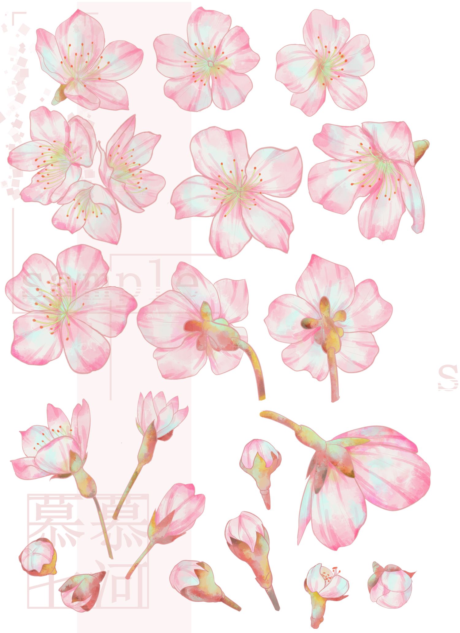 粉色手绘水彩桃花图片素材免费下载 - 觅知网