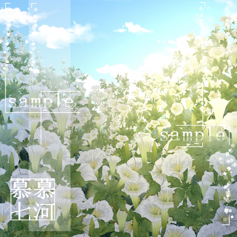 曼陀罗花