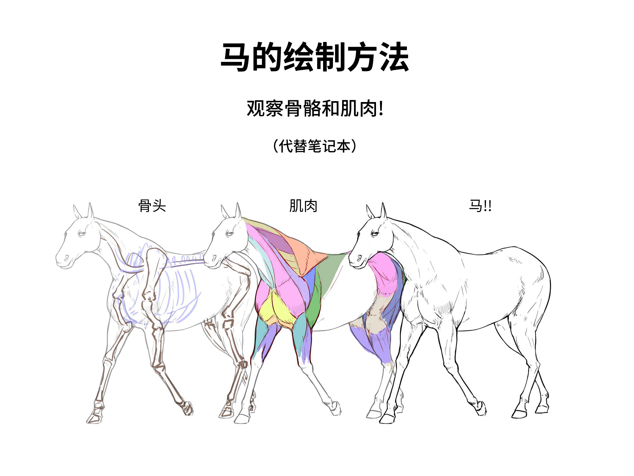 52573994_p0.png