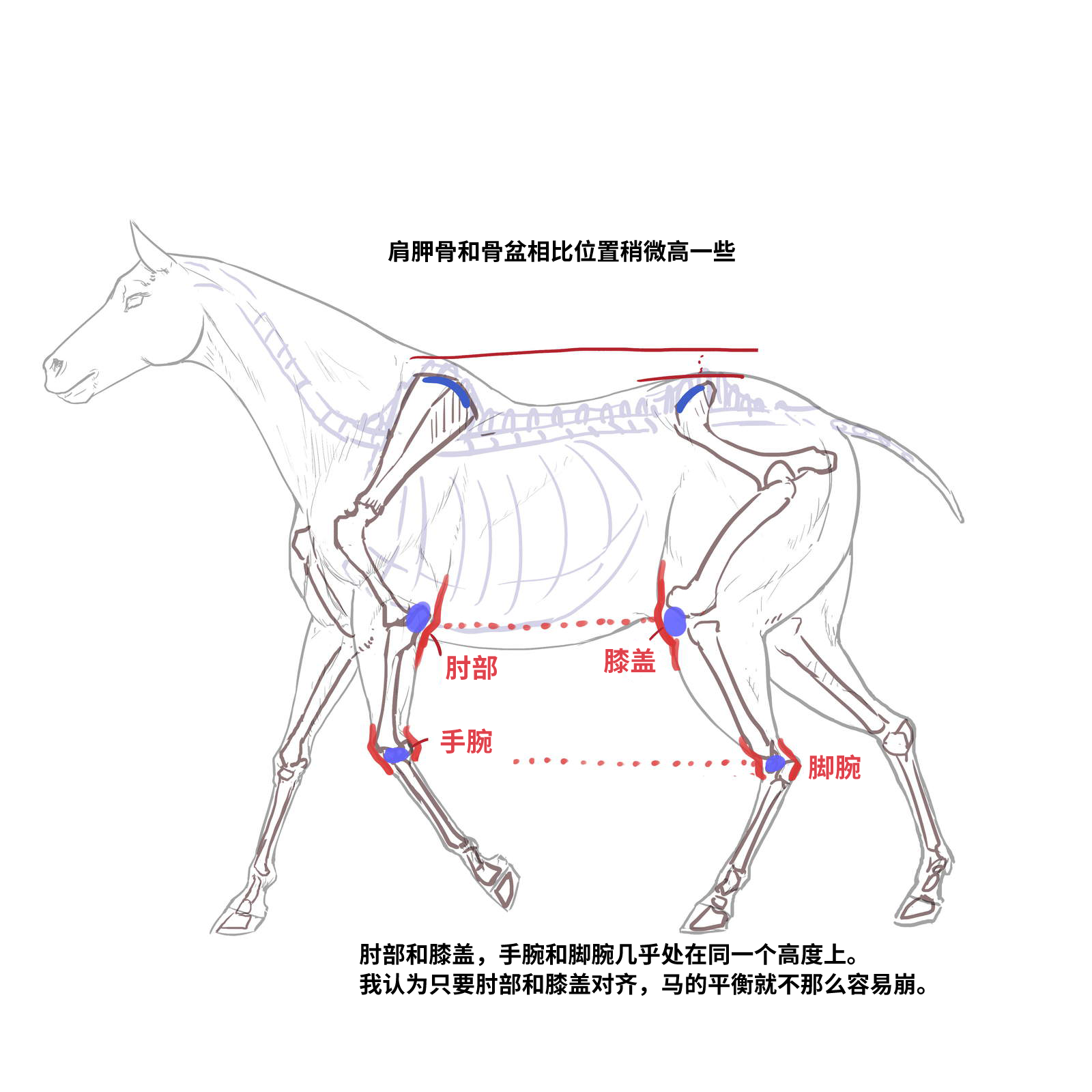 52573994_p5.png