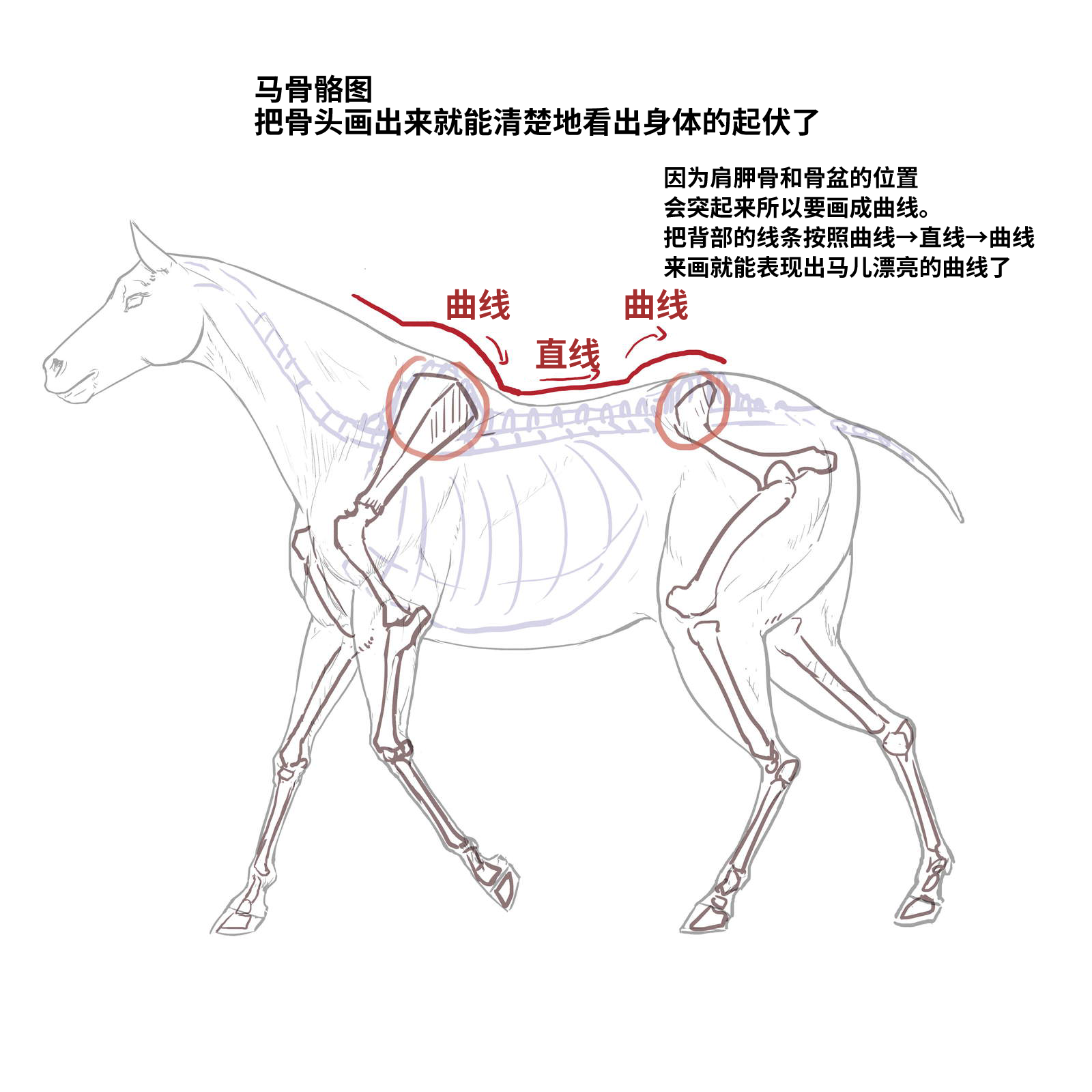52573994_p4.png