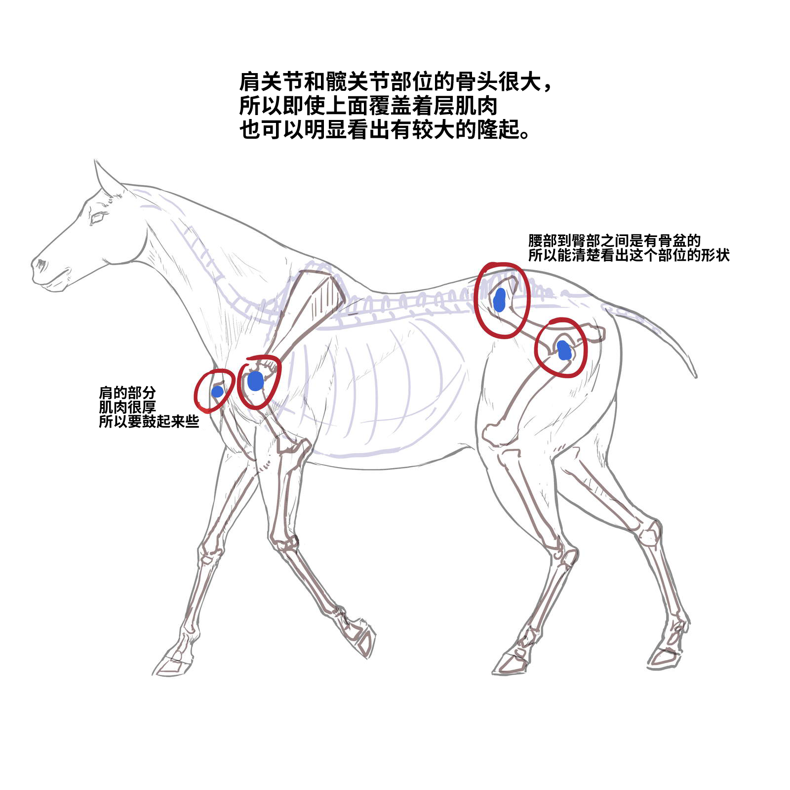 52573994_p6.png