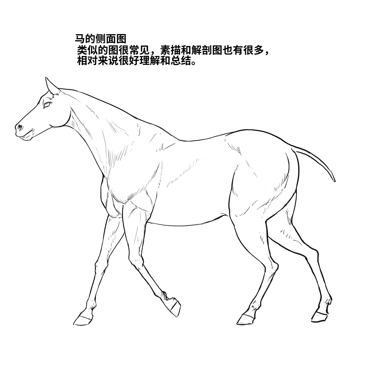 52573994_p3.png