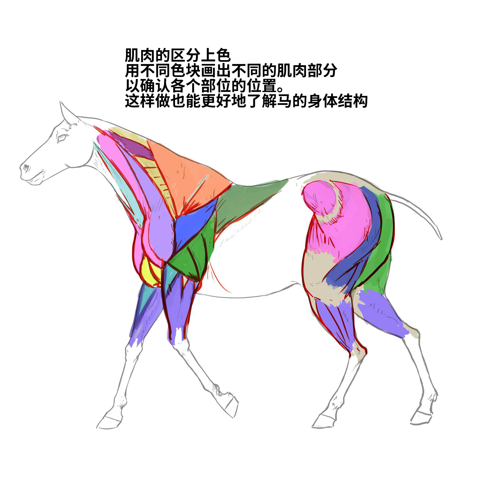 52573994_p7.png