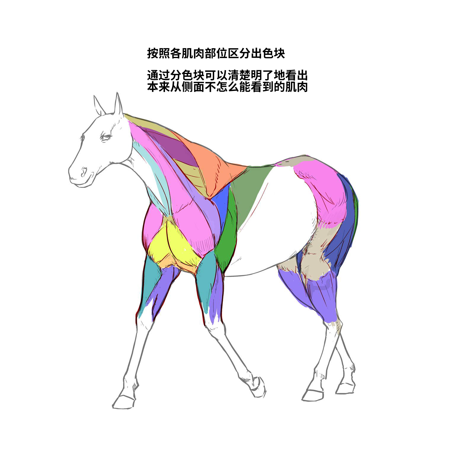 52573994_p10.png