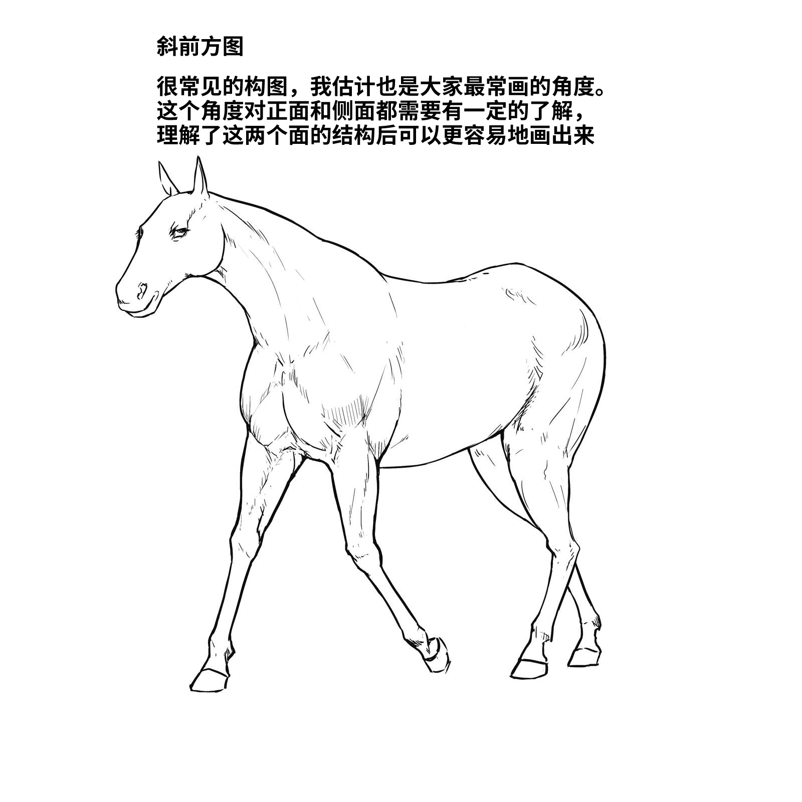 52573994_p8.png