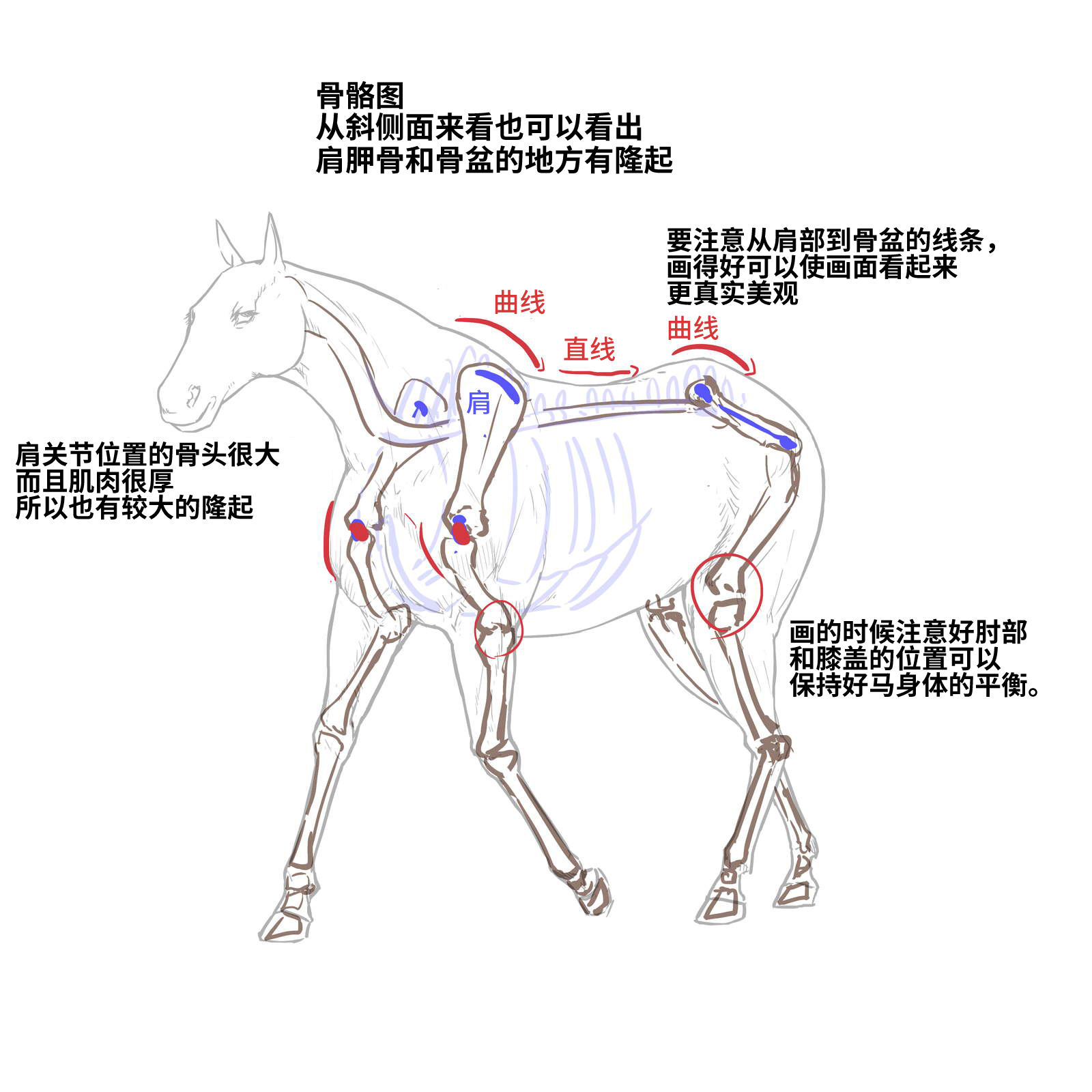 52573994_p9.png