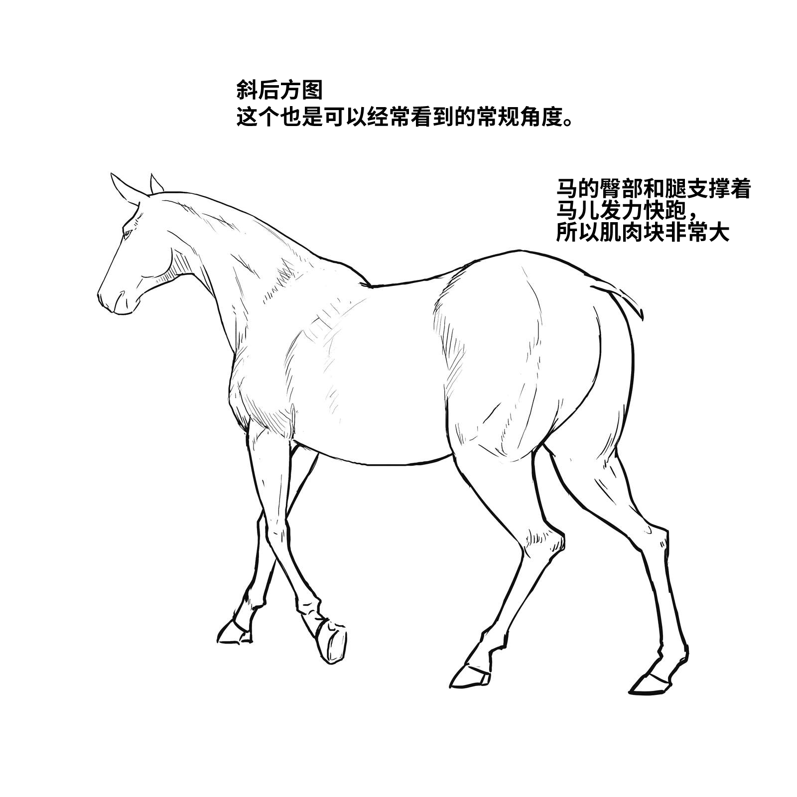 52573994_p14.png