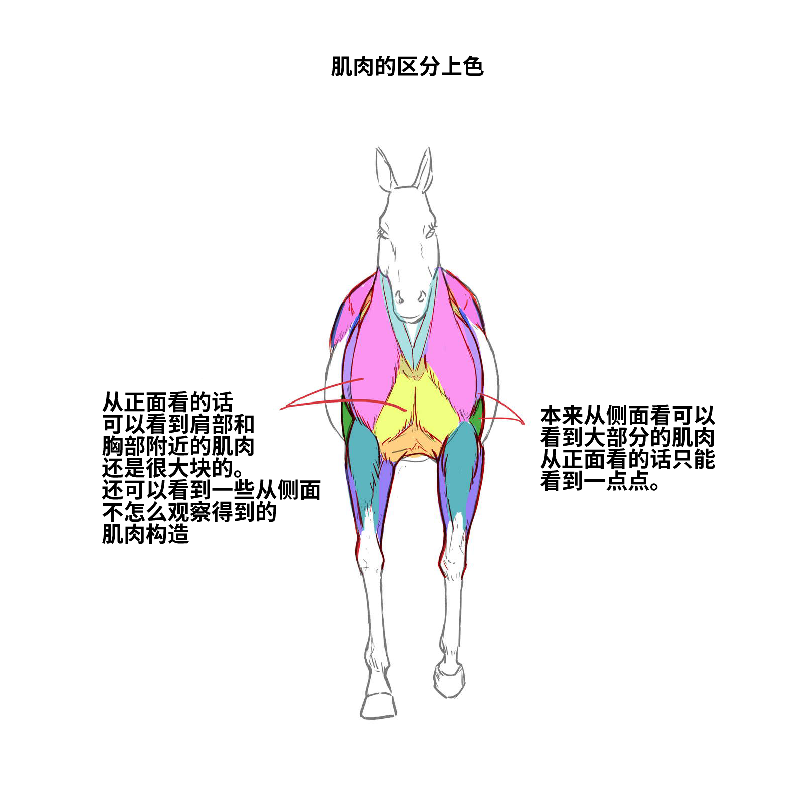 52573994_p13.png