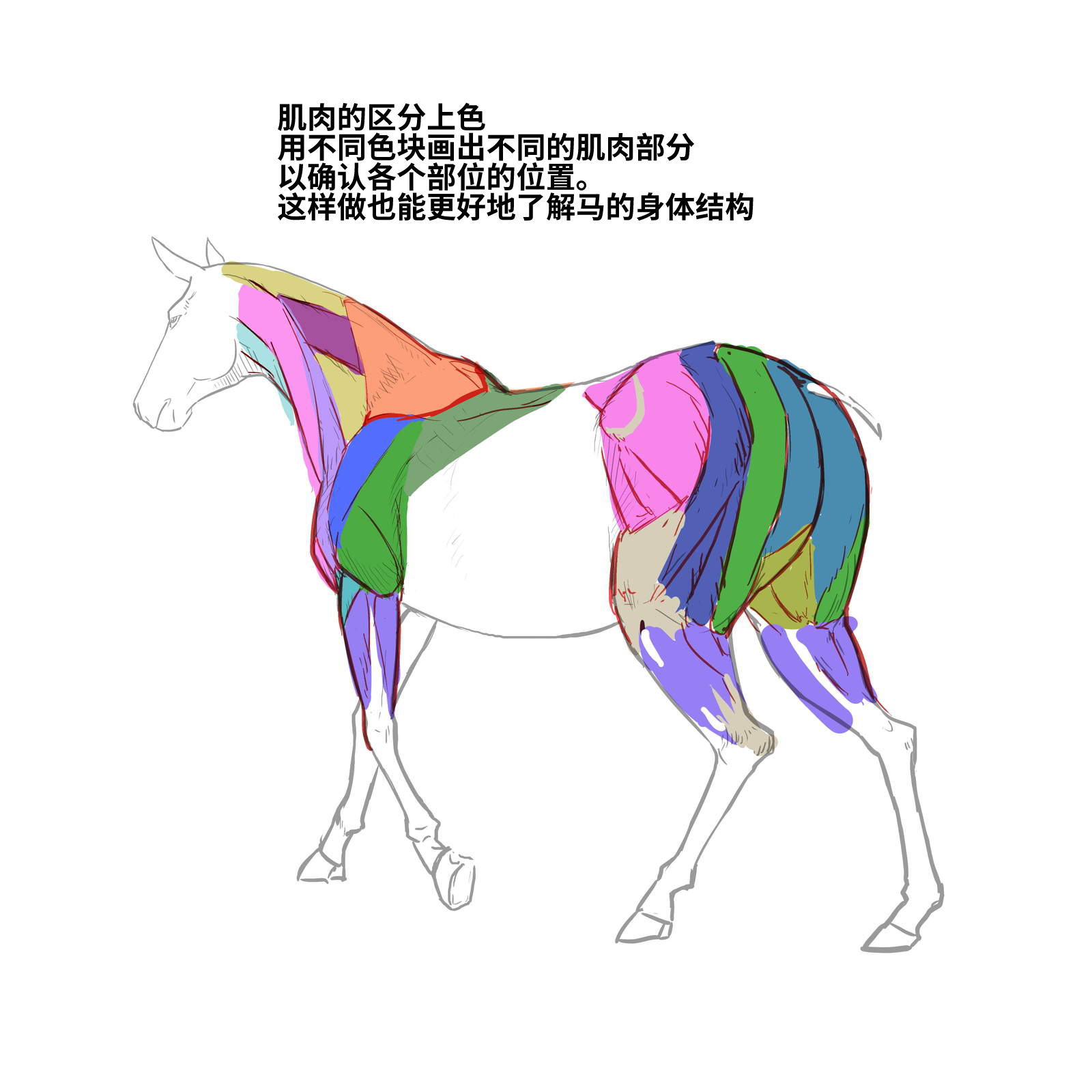 52573994_p16.png