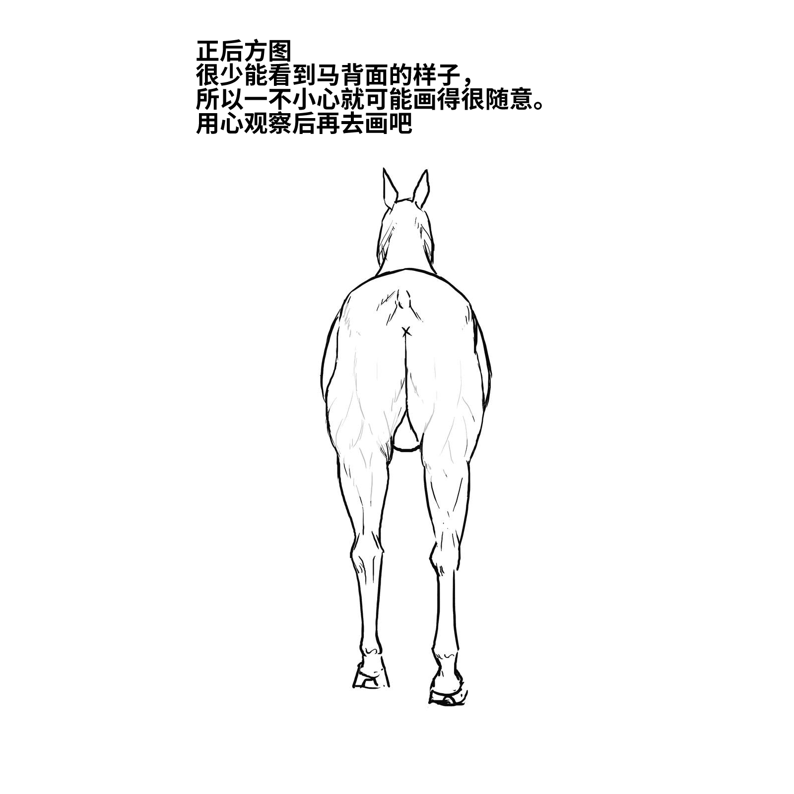 52573994_p17.png